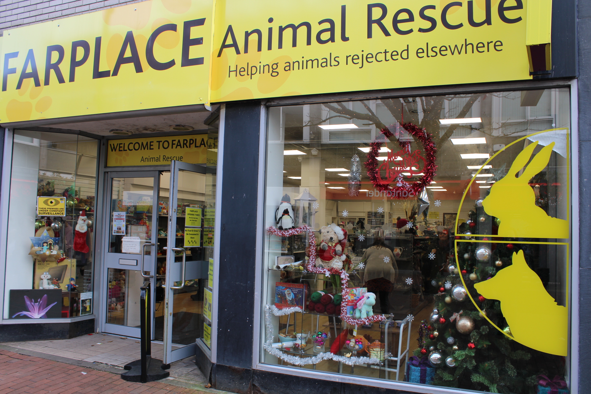 Far Place Animal Rescue shop Christmas window