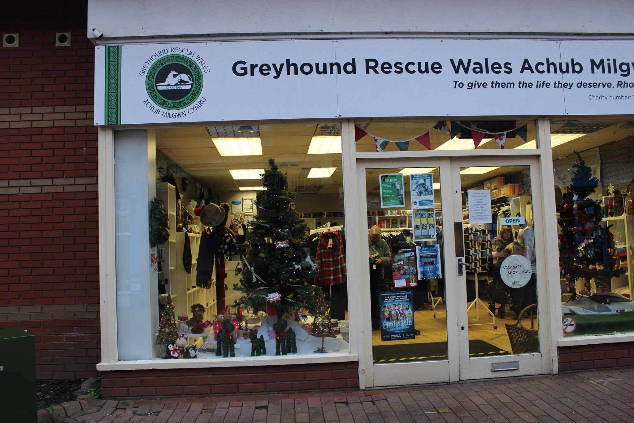 Greyhound Rescue shop Christmas window with Christmas Tree