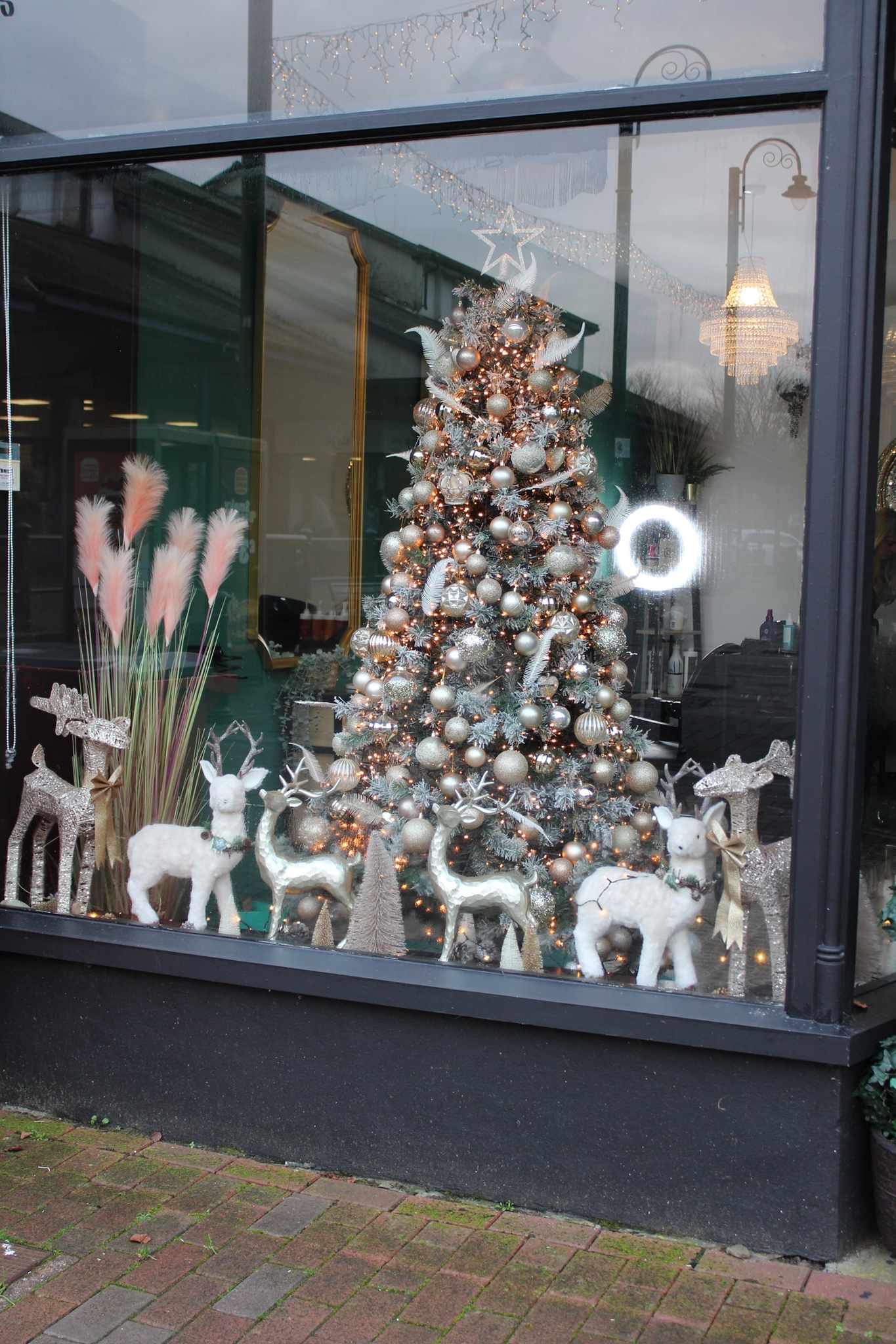 Reign Christmas Shop Window, chrismas tree and reindeer