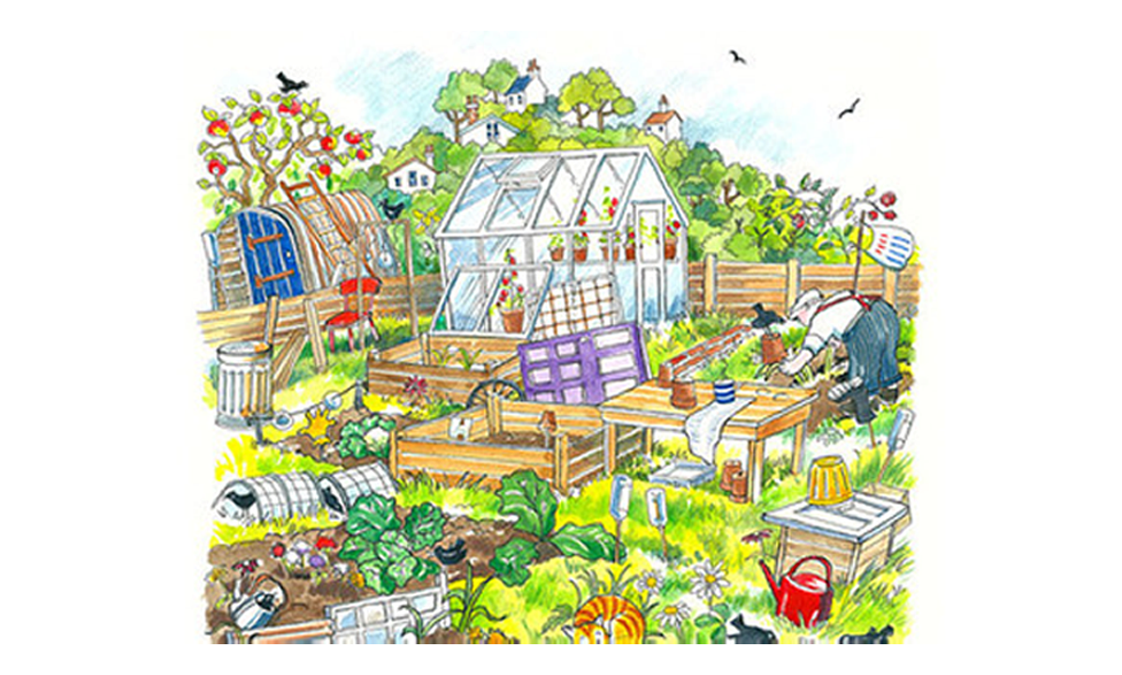 Allotment Competition Winners 2018